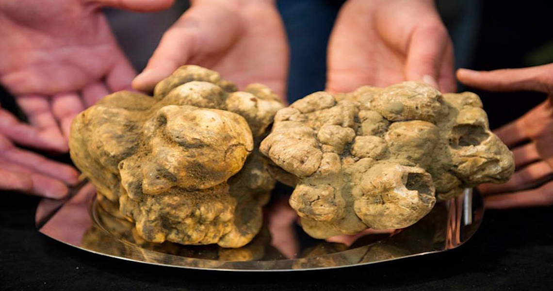 white truffles